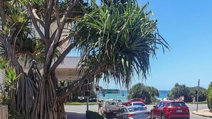 A street with cars, a palm tree, and a sign indicating directions to the beach. - Escape to Coolum - Vibrant Beachside Lifestyle (Coolum Region)