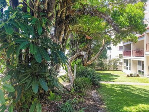A residential area with a large tree, a well-maintained lawn, and a two-story building with balconies.