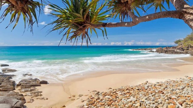 A beach with clear turquoise water, pebbly shore, and a tree with green leaves. - Escape to Coolum - Vibrant Beachside Lifestyle (Coolum Region)
