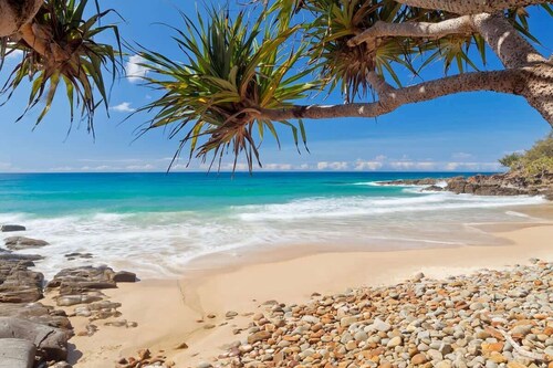 Escape to Coolum - Vibrant Beachside Lifestyle