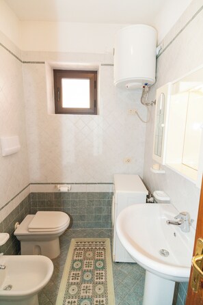 Shower, hair dryer, bidet, towels