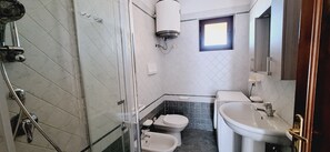 Shower, hair dryer, bidet, towels