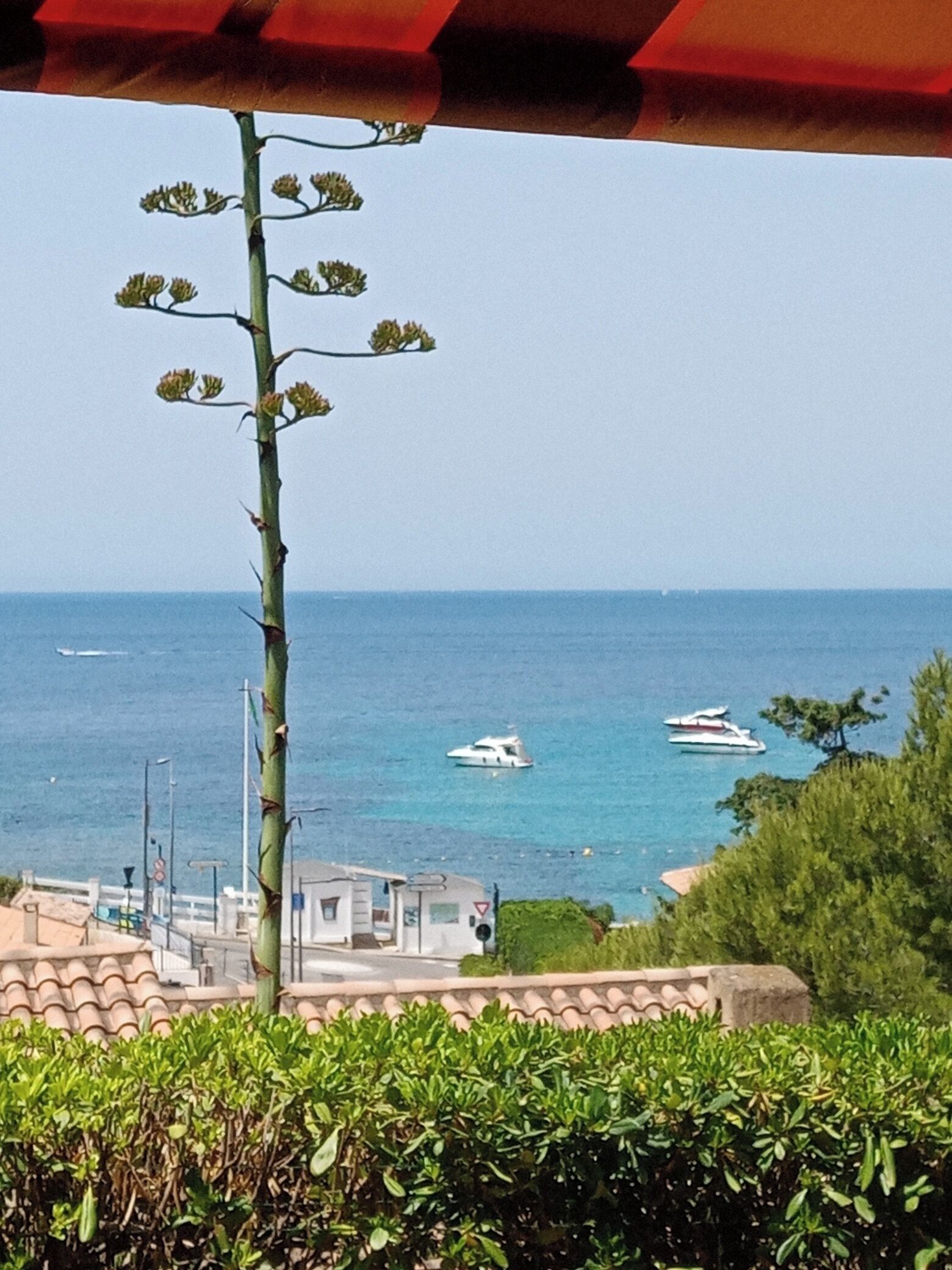 Vue depuis l’hébergement