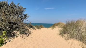 Plage à proximité