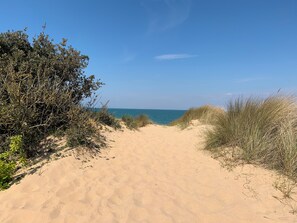 Ein sandiger Weg am Strand, umgeben von dichter Vegetation.