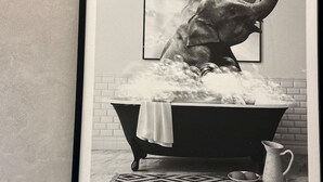 A framed black and white photograph of an elephant in a bathtub with bubbles, a pitcher, and a bowl of cookies on the floor. - Muses Suite by Zeus suites (Athina)