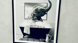 A framed black and white photograph of an elephant in a bathtub with a towel and a cup.