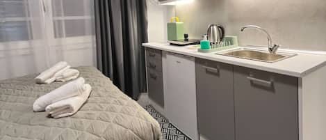 A hotel room with a bed, a sink, and a kitchenette.
