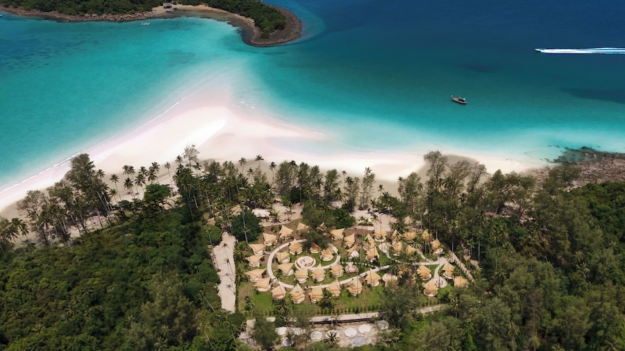 The Survival by Seudam