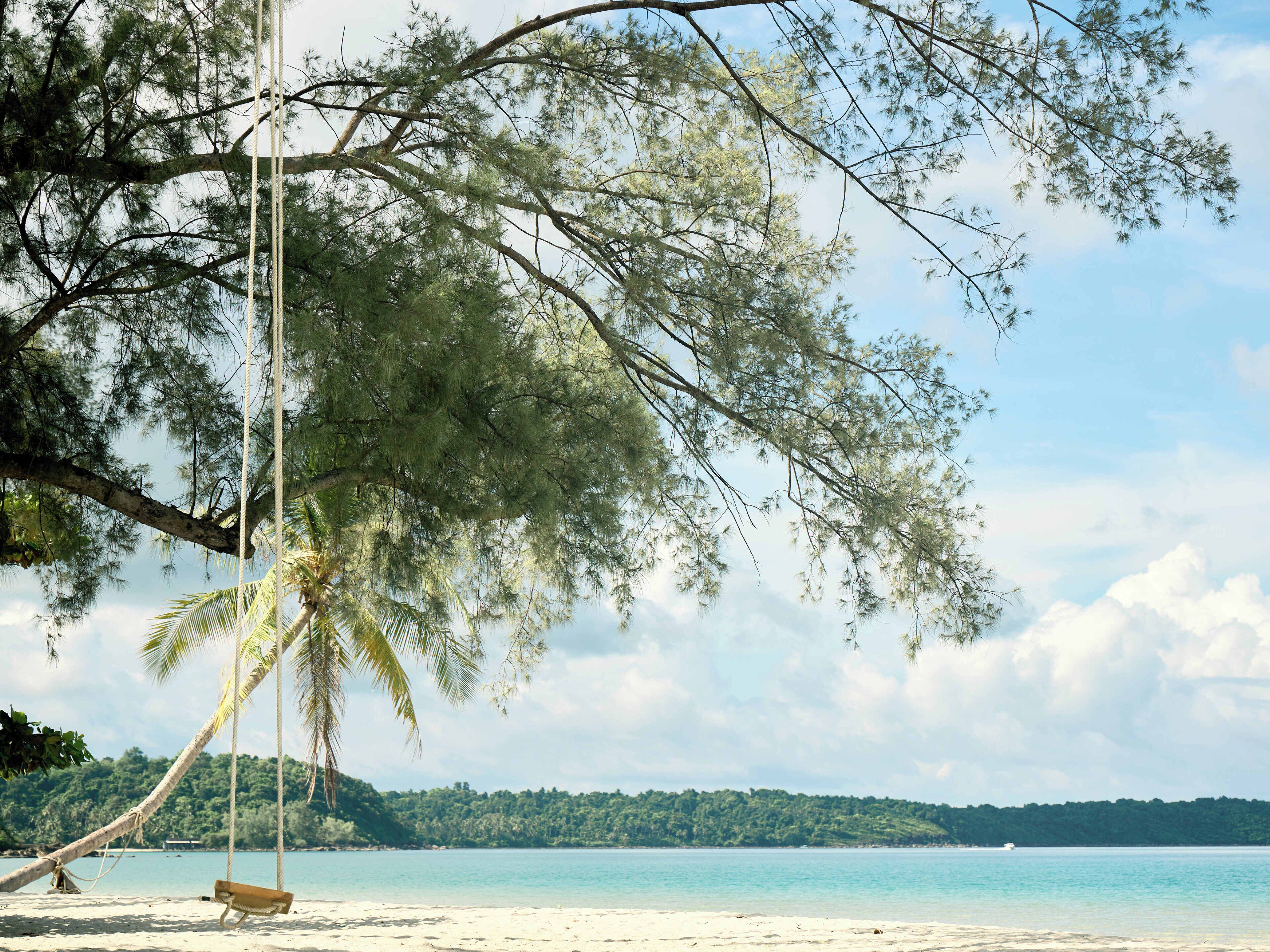 A beach with a hammock under a tree, clear sky, and calm sea.