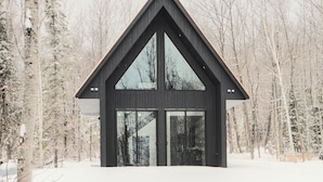 A modern, dark-colored cabin with a triangular roof and large glass doors, surrounded by a snowy forest.