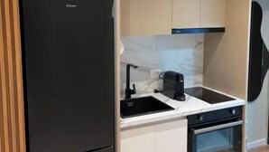 A compact kitchen with a black refrigerator, a built-in oven, and a sink. - Tirent Apartment-Studio Central (Tirana)