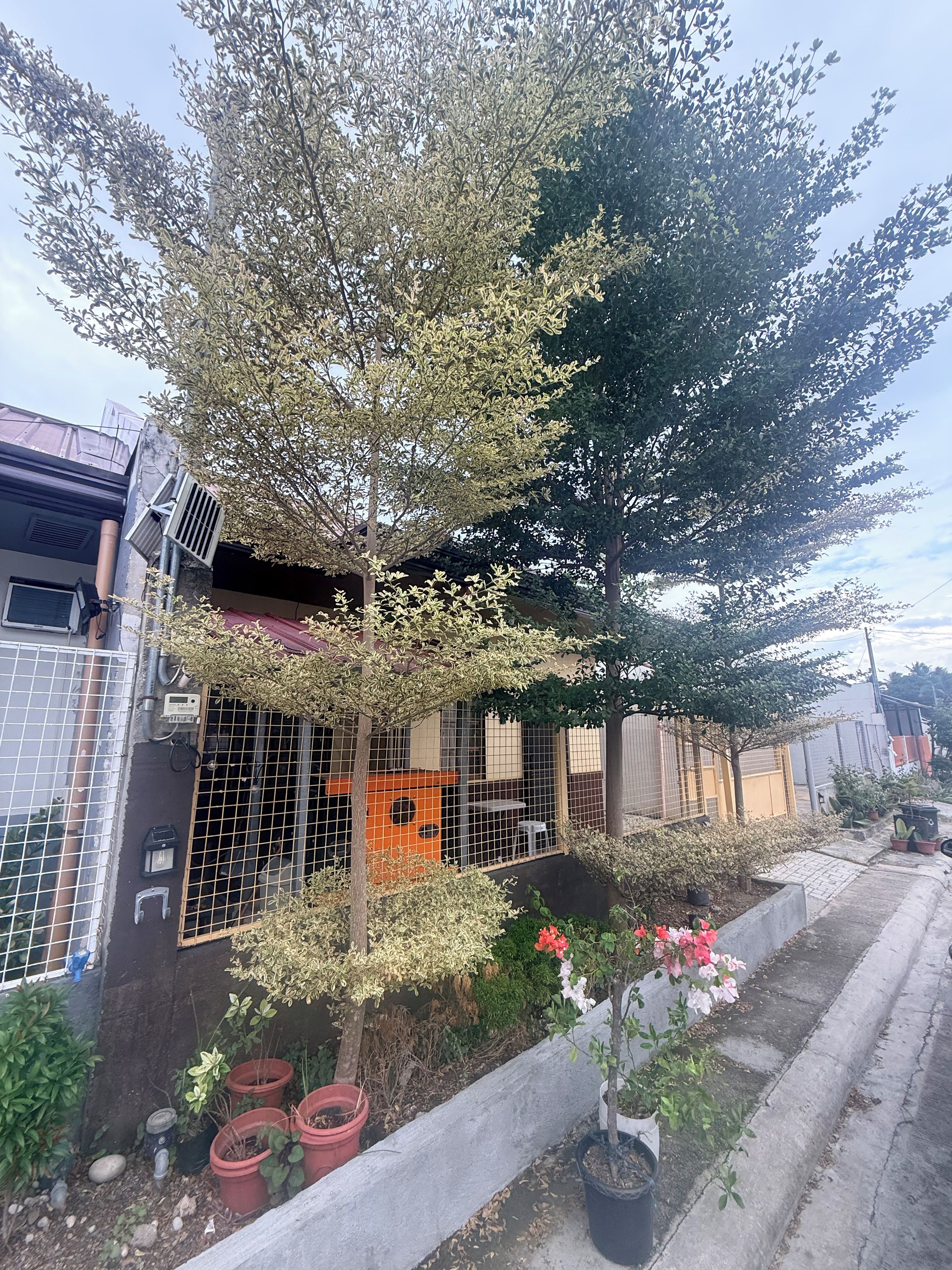 Un edificio residencial con patio cercado, plantas en macetas y un pequeño espacio de esparcimiento al aire libre.