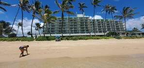 Apartment, barrierefrei