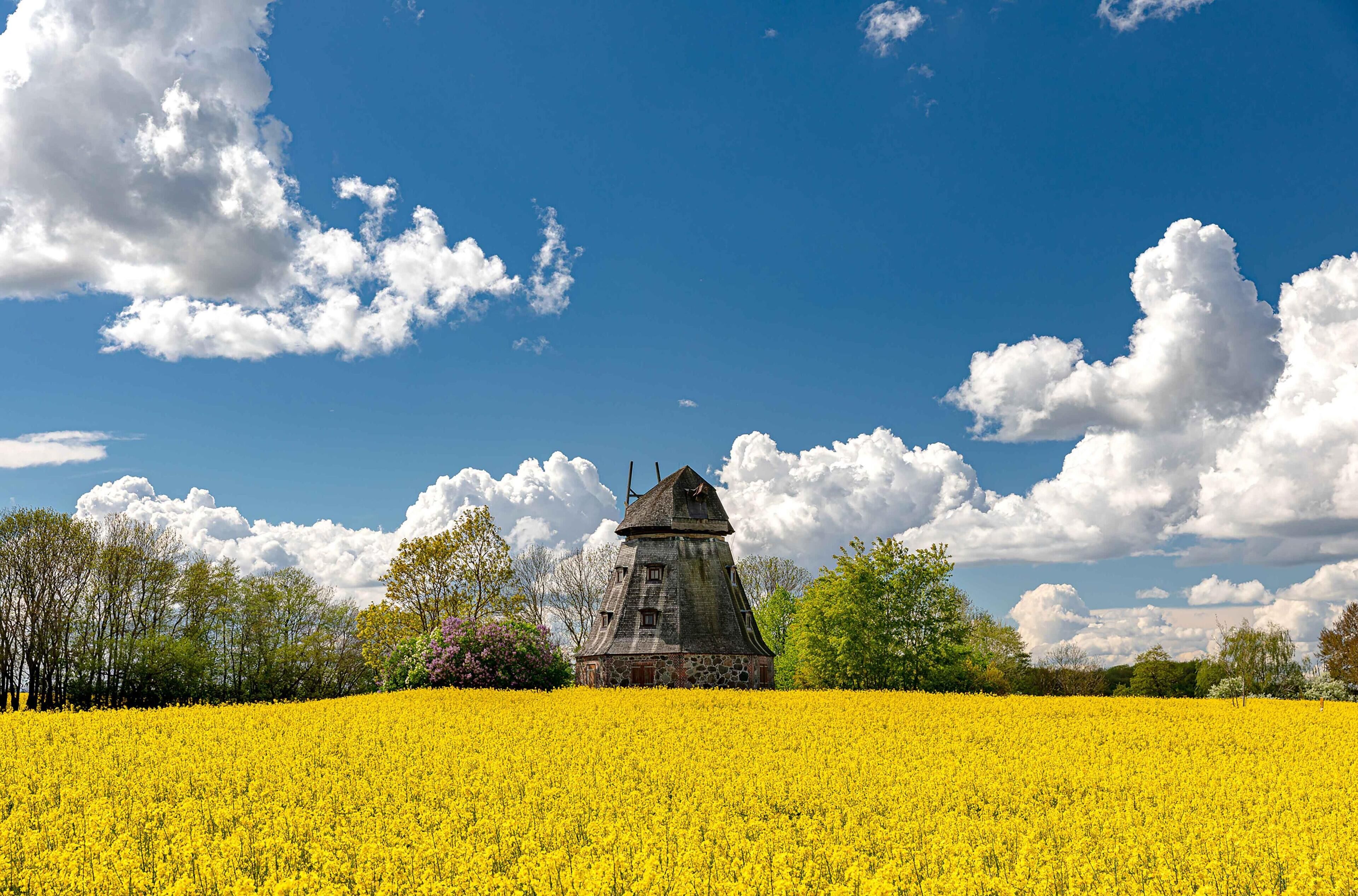 A historic building in a field of yellow flowers under a blue sky with clouds.