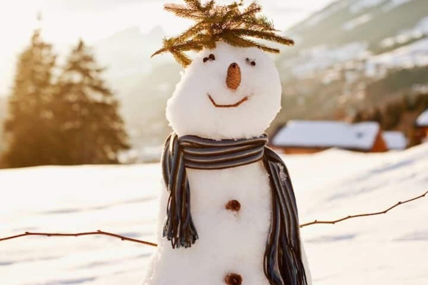 Een sneeuwpop met sjaal en muts in een besneeuwd landschap met bomen en bergen op de achtergrond.