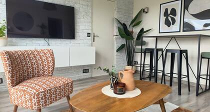 Appartement Lumineux
