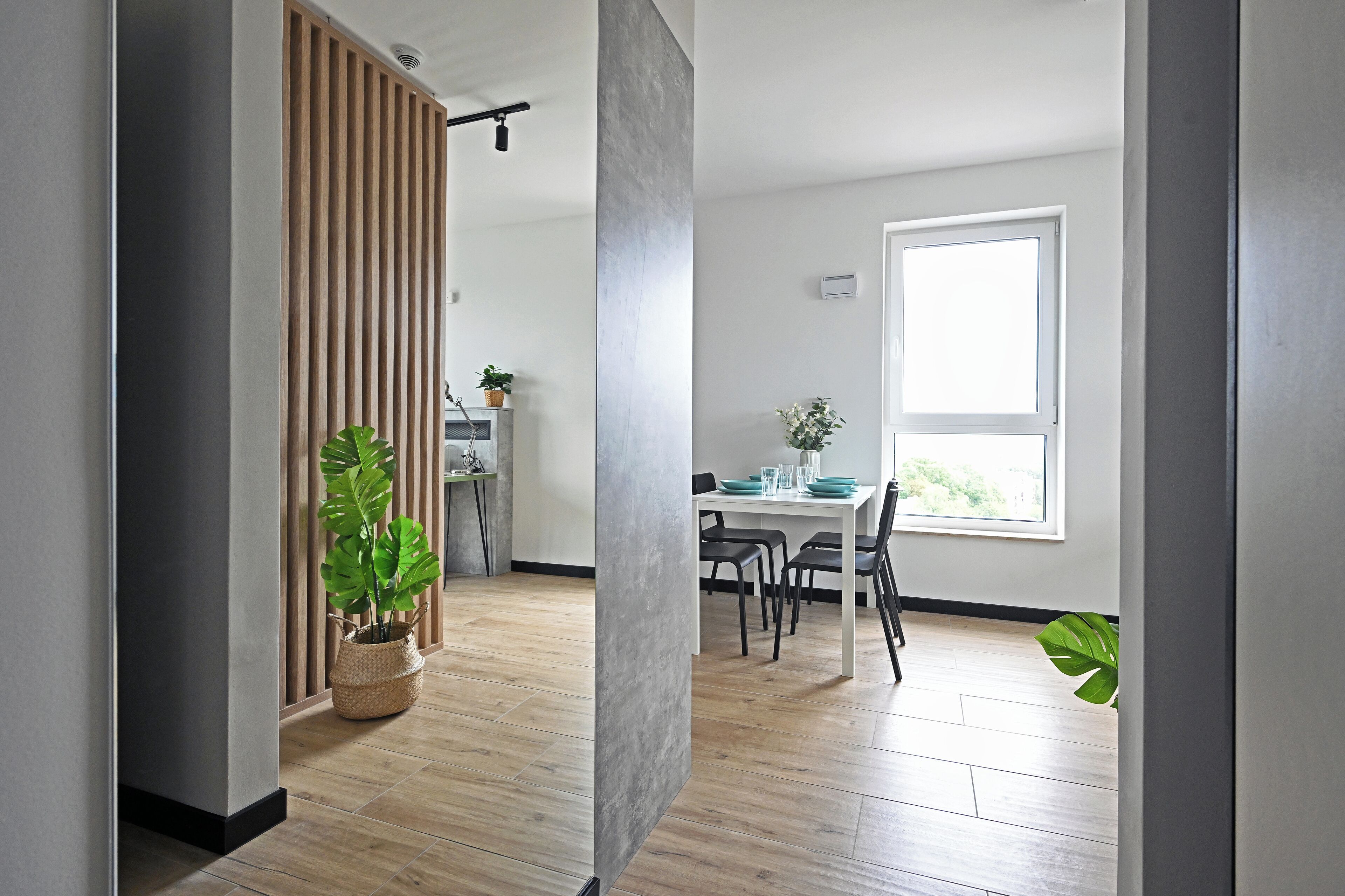 Economy Apartment | Living area | Flat-screen TV