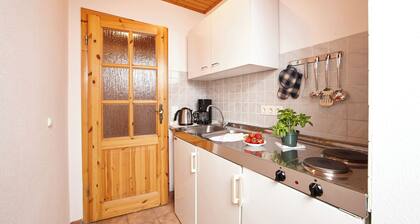 Cozy one-bedroom apartment with terrace in the mountains