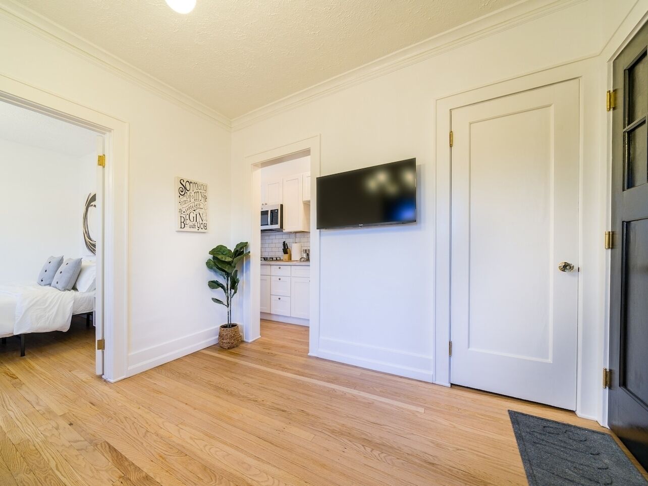 Una habitació amb un llit, una planta en test, un televisor de pantalla plana fixat a la paret i una porta que dona a una altra habitació.