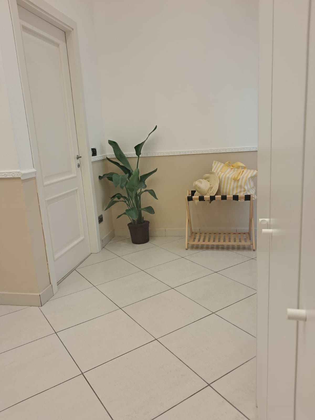 Een gang met een potplant, een houten rek met tassen en een witte deur.