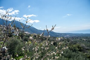 Un paysage montagneux, avec des arbres en fleurs au premier plan et une ville lointaine à l’horizon.