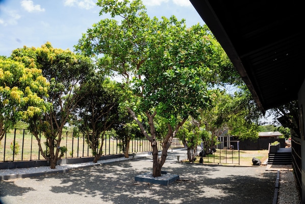 A paved pathway lined with trees and a metal fence.