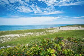 Uma praia com céu claro, areal arenoso e vegetação colorida em primeiro plano.