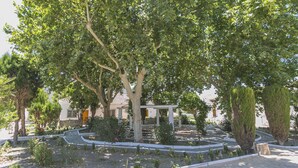 Property grounds - SOPORTUJAR, living room, lounge/kitchen, 1 bedr. and bathr. (Orgiva)