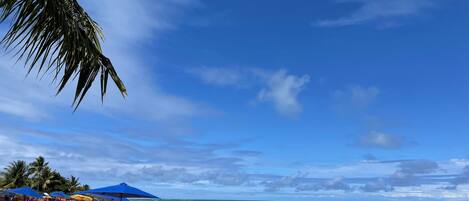 Una playa con cielo despejado, palmeras y sombrillas.