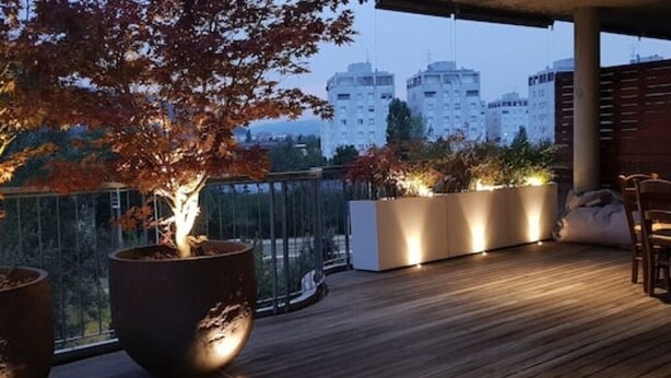 Une terrasse en bois agrémentée de plantes en pot, avec en arrière-plan une vue sur des bâtiments.