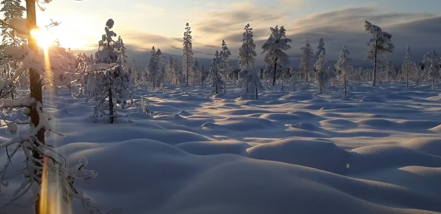 A snowy landscape with trees and a sun setting in the background.