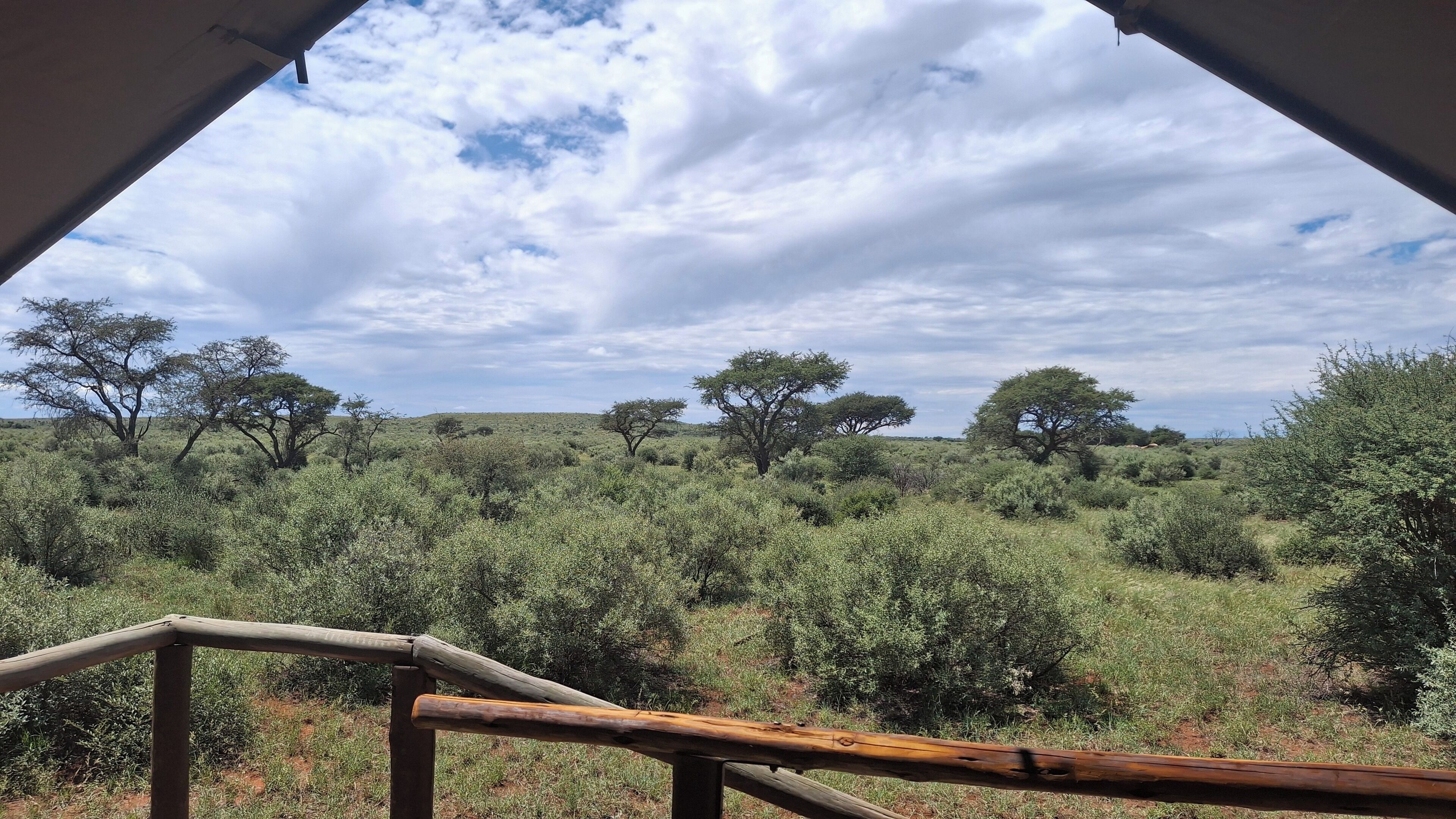 A view from inside a structure with a wooden railing, looking out at a savannah landscape with scattered trees and a cloudy sky.