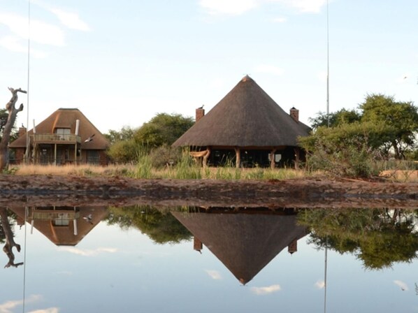 A thatched-roof hut with a giraffe nearby, reflecting in a calm body of water. - Mattanu Private Game Reserve (Dikgatlong)