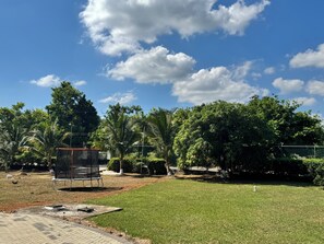 A grassy outdoor area with a metal bench, trees, and a clear sky.