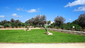 A well-maintained grassy area with a cactus, stone wall, and trees in the background.