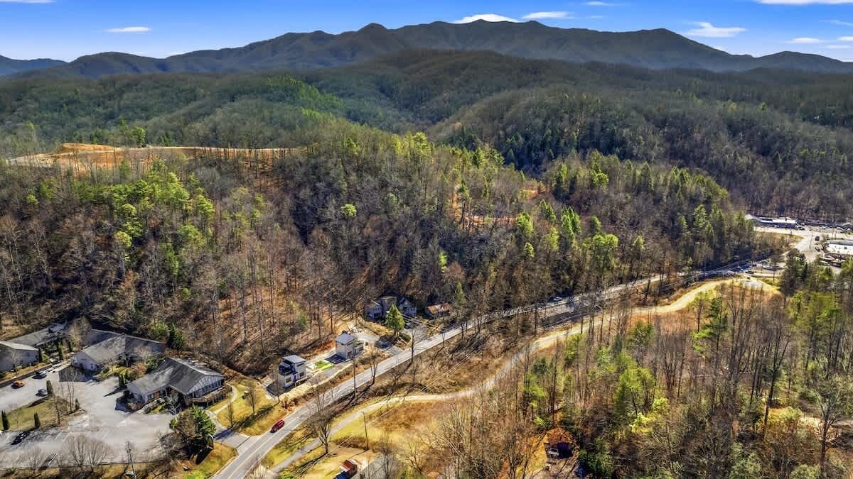 A residential area with houses, a road, and a forested mountain backdrop.