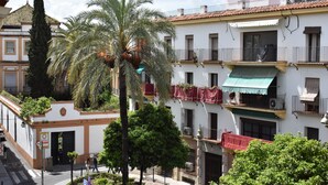 A multi-story building with balconies, a palm tree, and a street view. - Downtown Apartment with Parking and Terrace (Córdoba)