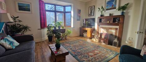 Télévision, cheminée, livres, chaîne hi-fi