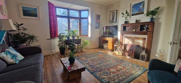 TV, fireplace, books, stereo