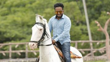 Horse riding