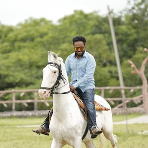 Horse riding - Anjali Palace (Garbor)