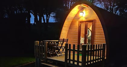 Glamping Sintra. Aprovecha la tranquilidad del bosque.