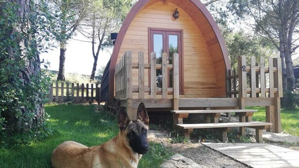 A wooden cabin with a curved roof, a wooden deck, and a dog lying in front.