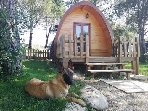 Glamping Sintra. Enjoy the tranquility of the forest.