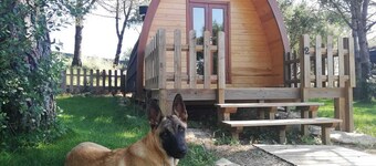 Glamping Sintra. Enjoy the tranquility of the forest.