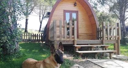 Glamping Sintra. Enjoy the tranquility of the forest.