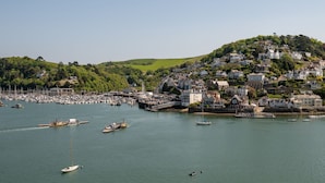 A coastal town with a marina, houses on a hill, and boats on the water.