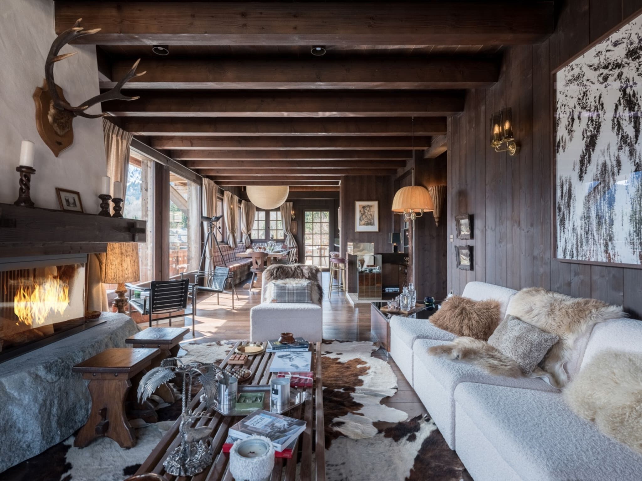 Smart TV, fireplace, video games, books