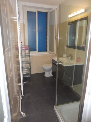 A modern bathroom with a glass shower enclosure, a toilet, and a sink with a mirror.